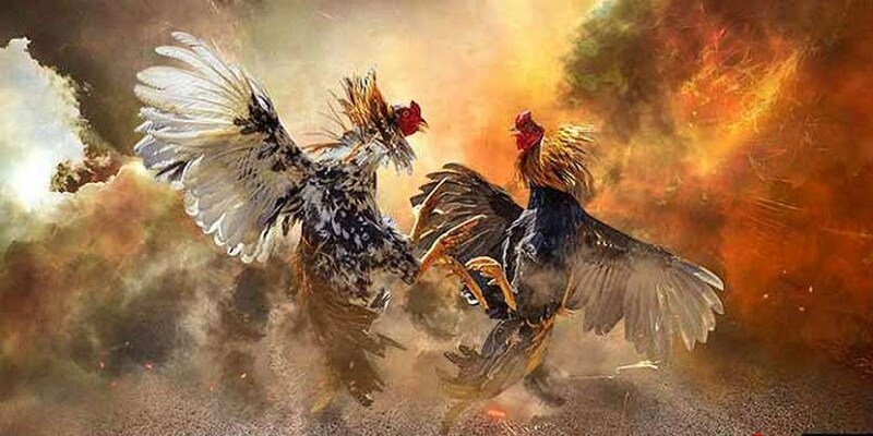 Tìm hiểu thông tin chung về chuyên mục cá cược đặc biệt hấp dẫn này